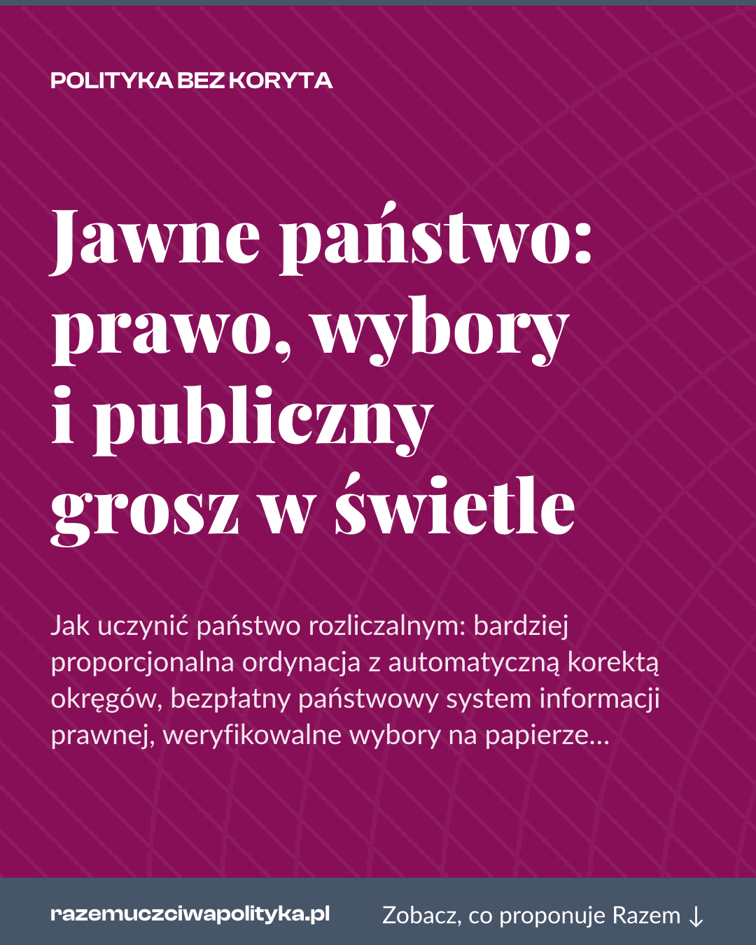 Grafika pionowa do udostępnienia: Jawne państwo: prawo, wybory i publiczny grosz w świetle