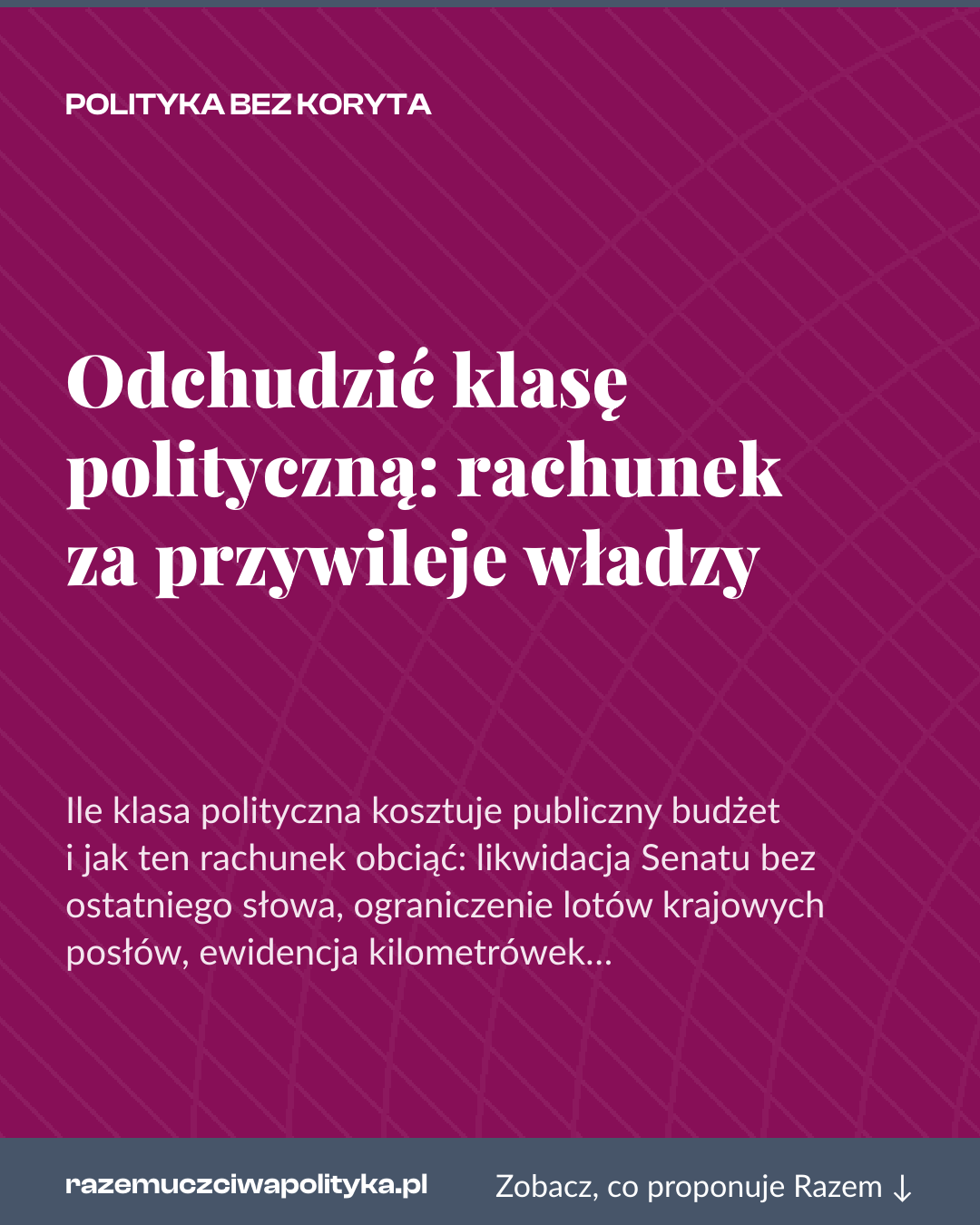 Grafika pionowa do udostępnienia: Odchudzić klasę polityczną: rachunek za przywileje władzy