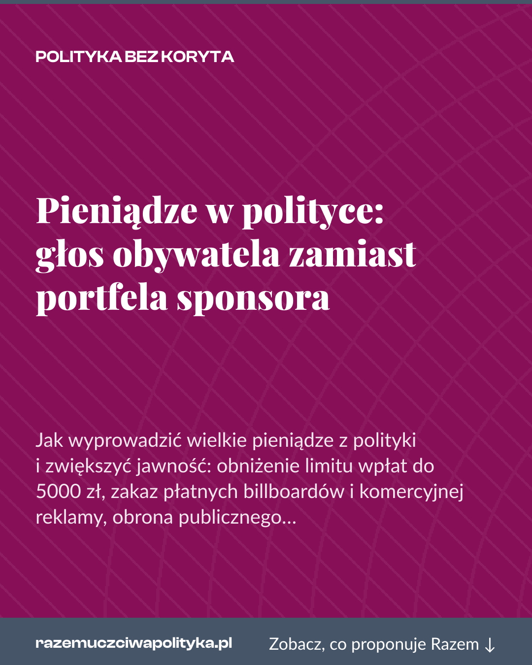 Grafika pionowa do udostępnienia: Pieniądze w polityce: głos obywatela zamiast portfela sponsora