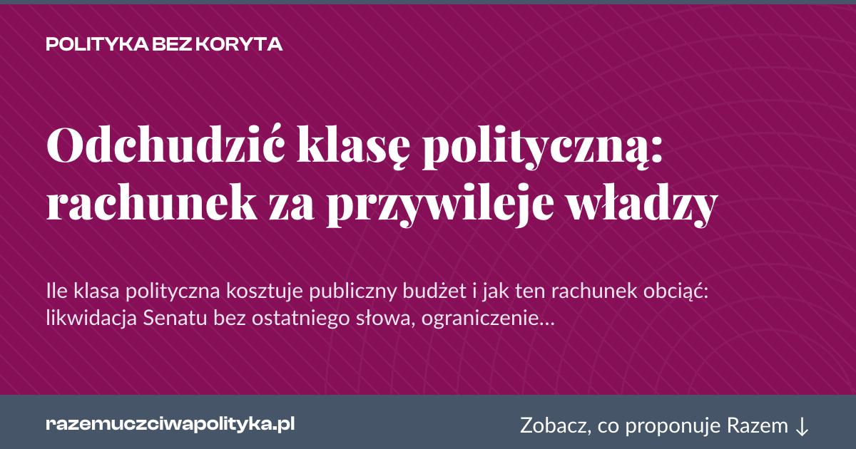 Karta social do udostępnienia: Odchudzić klasę polityczną: rachunek za przywileje władzy